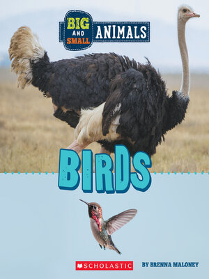 cover image of Birds (Wild World